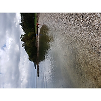King tide Yorktown image